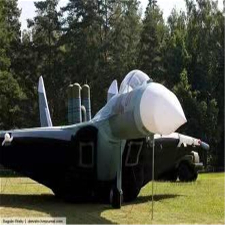 北戴河充气模型飞机制造商家